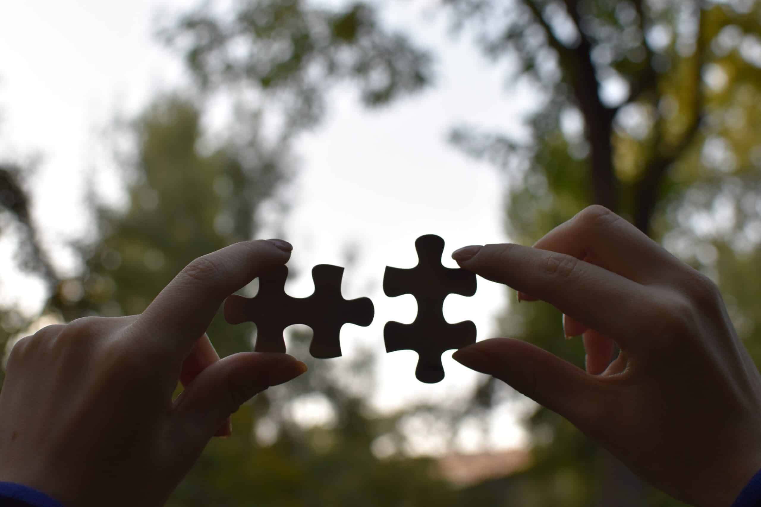 Collaborative Influencer Agency